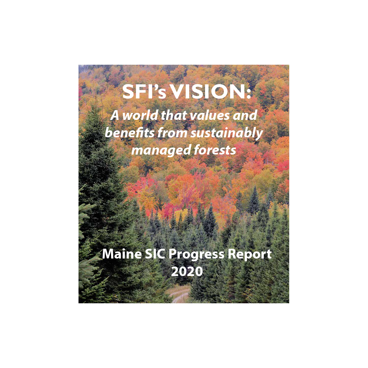 Maine SIC Progress Report 2020
