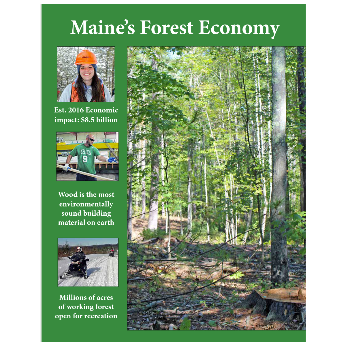 Maine's Forest Economy