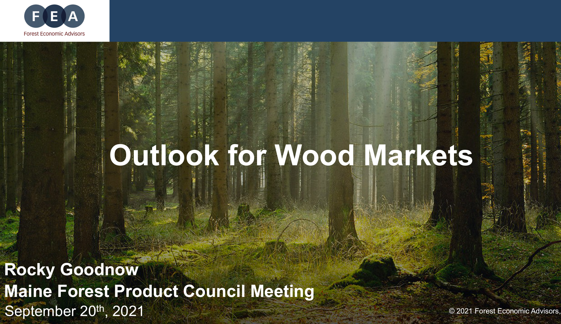 Outlook for wood markets