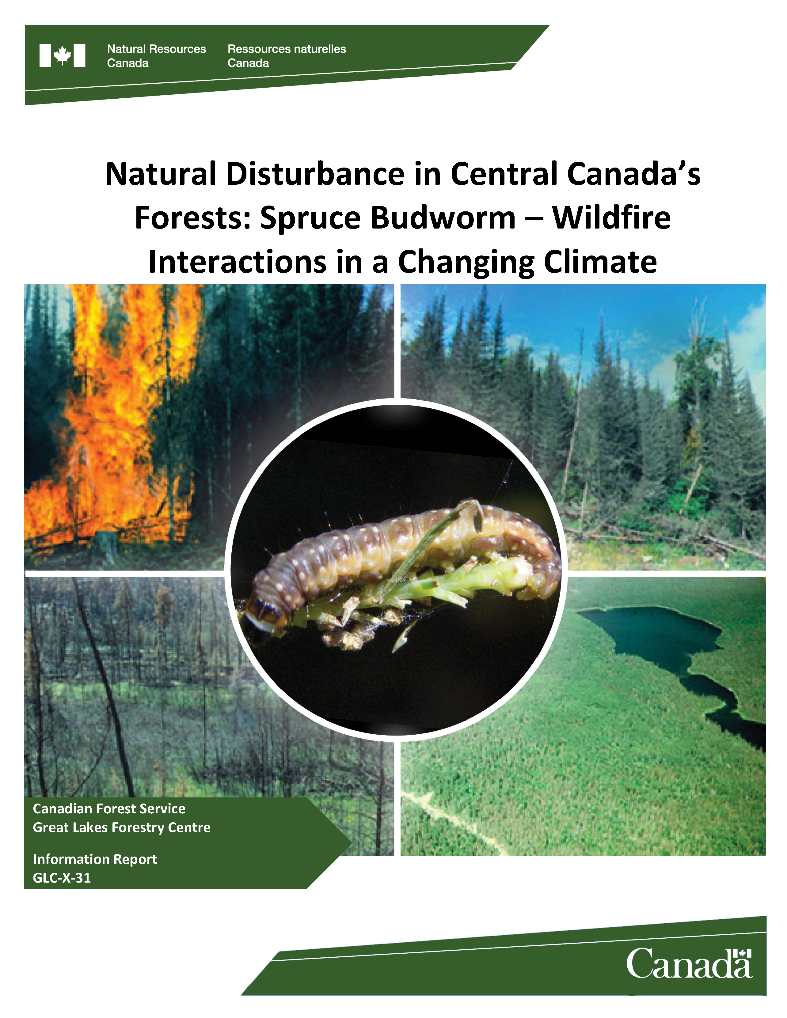 Spruce Budworm Wildfire Interactions in a Changing Climate - NRC_Page_01